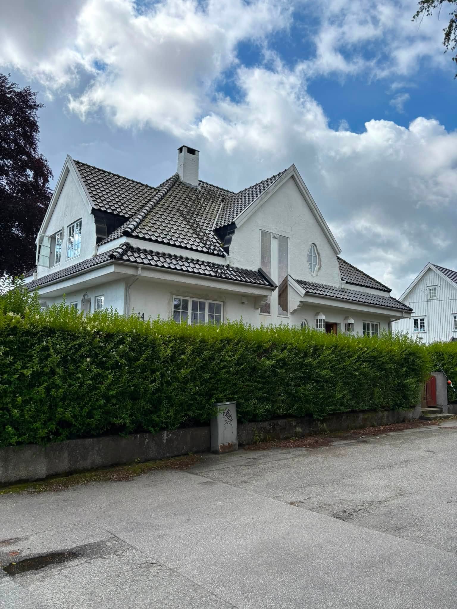 Før: gjengrodd hage i Hafrsfjord med høyt gress og ustelt hekk